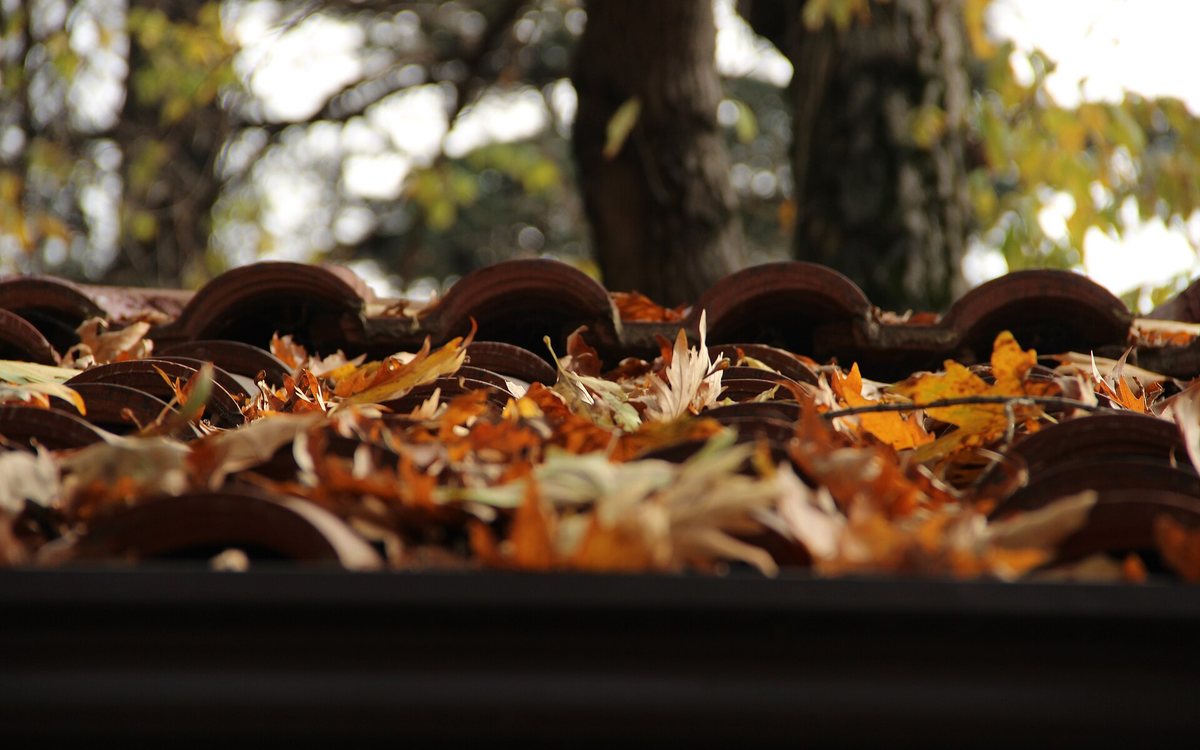 Herbstlaub auf Dachziegeln über der Dachrinne